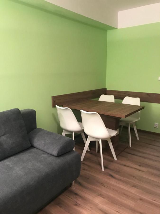 Krusne Hory - Klinovec 2 Km- Jachymov 2-4 Osoby Apartment Luaran gambar